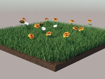 Grass field with flowers 3D model