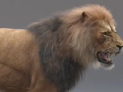  Lion Rigged (Fur) 