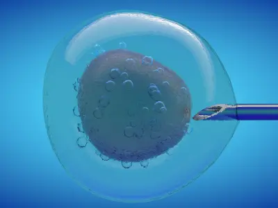 IVF cell simulation animal or human cell and needle 3D model