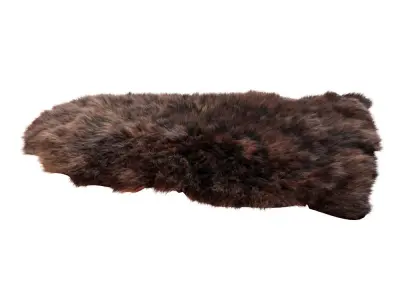 Animal skin rug 04 3D model