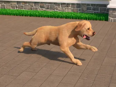 Running White Retriever Dog Fur Animated Rigged 