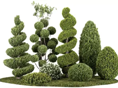 Groups of outdoor Decorative trees - Bushes - and Hedges 3D model