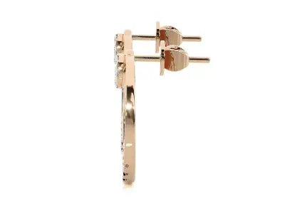 Light wt Women Diamond Earrings  3D print model