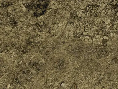 Soil Ground 01 - Scanned PBR Texture 4K Texture