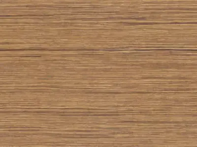 Lighting - Fan Free 3D model