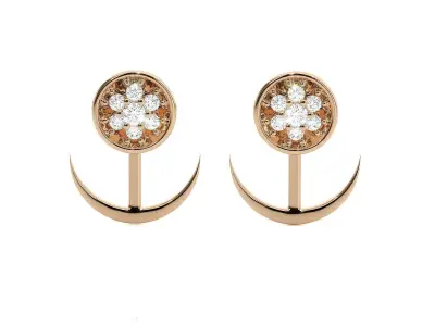 Light wt Women Diamond Earrings  3D print model