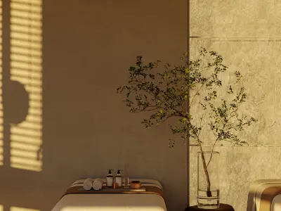 Spa - massage salon 3D model