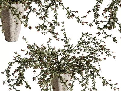 plants bouquet vase 45 3D model