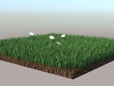Grass field with golf balls 3D model
