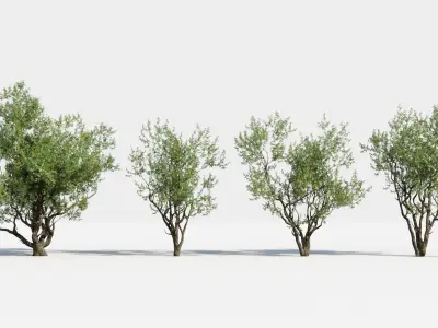 Plants Pack: Africa Trees (+GrowFX) 