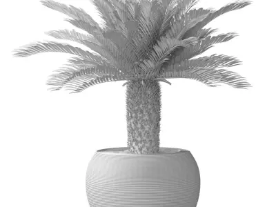 Decorative tall Evergreen Palm Tree in modern outdoor fluted pot 3D model