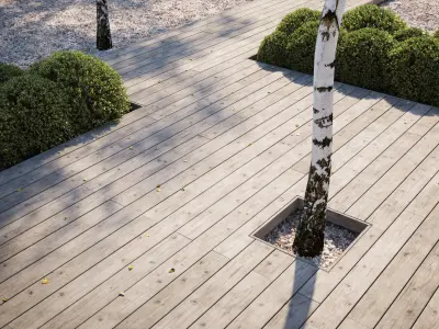 Old oak decking texture 3D model