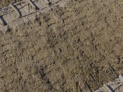 Weathered Thatch Roof  Texture