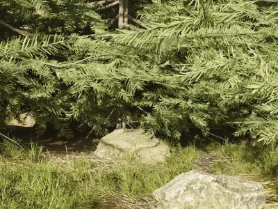 Forest Environment Low-poly 3D model