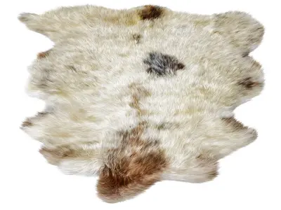 Sheepskin skin rug 3D model