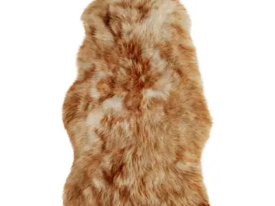 Animal skin 01 3D model