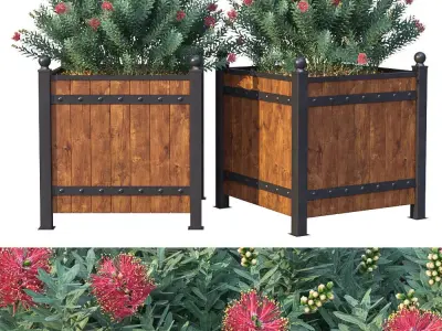 Street bushes in boxes II 3D model