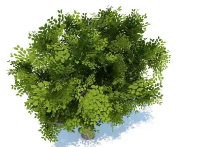 Tree Optimized Low-poly 3D model