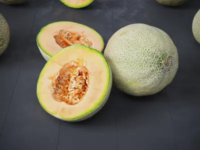 Melons 7 Models