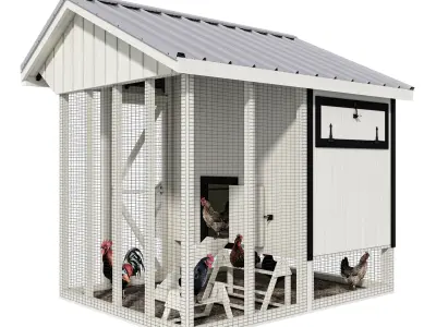 Hen hause for 10-12 chickens 3D model