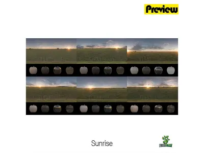 Realistic HDRI 30pcs 12k Field Low-poly 3D model