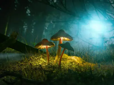 Forest Night Mushrooms Low-poly 3D model