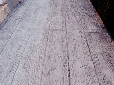 Pathway 3D Scan 3D model