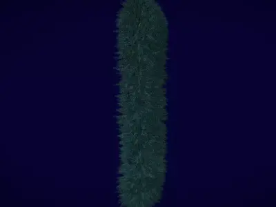 Christmas Wealth Frame Low-poly 3D model