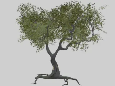 Low Poly Japanese Shinto Temple Pack With PBR Materials Low-poly 3D model