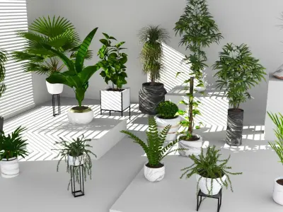 Floor potted collection Low-poly 3D model