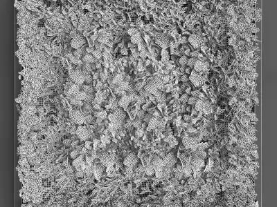 Vertical gardening 07 Low-poly 3D model