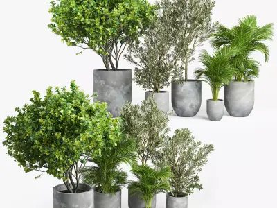 Concrete set tree in pot 3D model