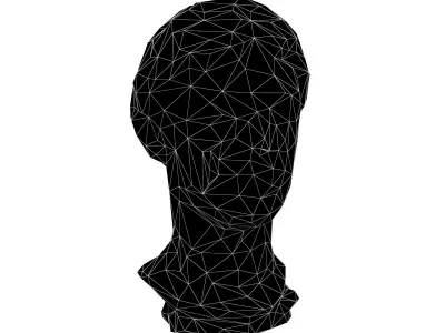 Low Poly Style Head Sculpture v1 001 Low-poly 3D model