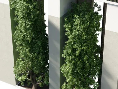 Door Outdoor entrance and fence and graden  3D model