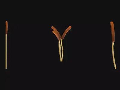 LumaGrove Unity Wonky Woods  Low Poly Nature Asset Pack Low-poly 3D model