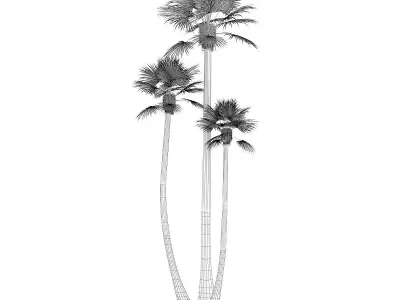 Three Palm Trees 3D model