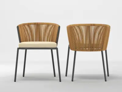 Lapel Chair 3D model