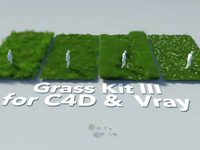 Grass Kit III for C4D and Vray 3 3D model