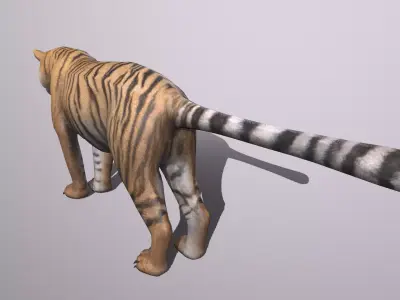 Tiger Low-poly 3D model