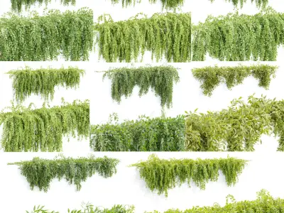 Hanging wall creeper plants collection vol 7 3D Model Pack