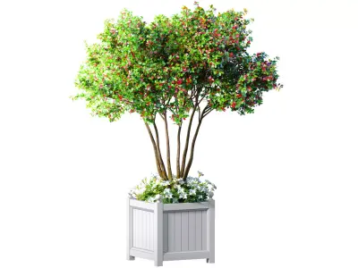 Decorative tree in a garden planter with flowers Houseplant 3D model