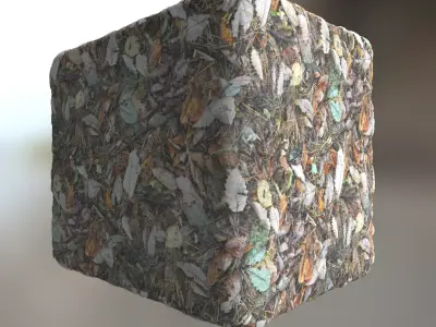 Forest Floor Seamless Material Texture