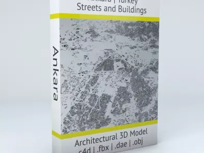 Ankara Streets and Buildings 3D model
