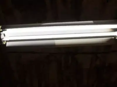 Fluorescent light Low-poly 3D model purchase