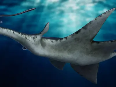 Ilu creature from Avatar The Way Of Water Low-poly 3D model