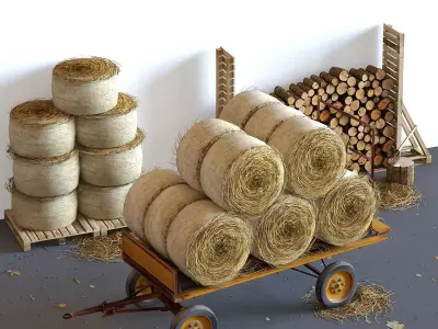 Chez le fermier 3D model