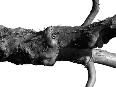 Old Lilac Tree 2 RAW 3DSCAN 1x 16384 1x 8192 Textures 3D model