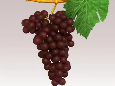 Grapes Red Low-poly 3D model