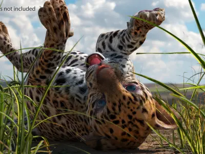  Playful Leopard Cub with Butterfly 