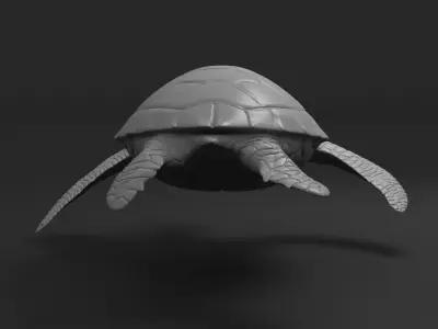 Turtle green sea 3D print model